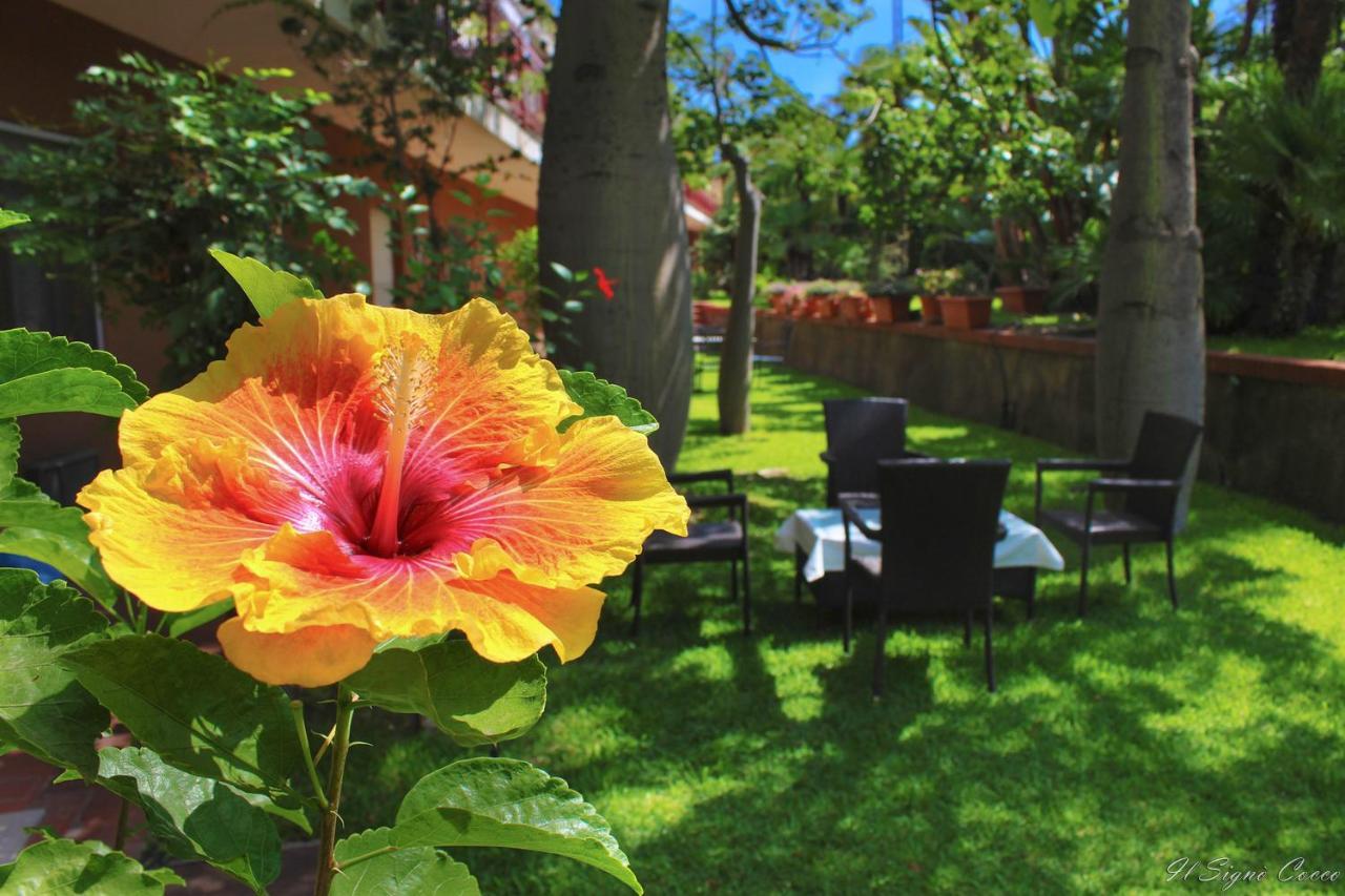 Il Signo Cocco Mare Apartment Ταορμίνα Εξωτερικό φωτογραφία